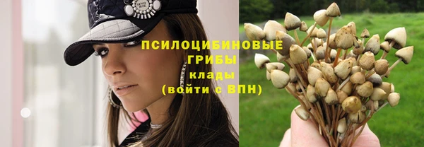 MESCALINE Абаза